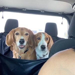 Meet your Posher, Jonathan